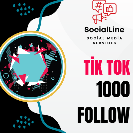 TikTok Growth Package with Guide
